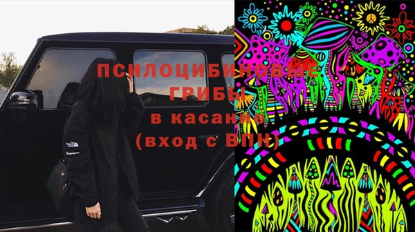 ГАЛЛЮЦИНОГЕННЫЕ ГРИБЫ Волосово