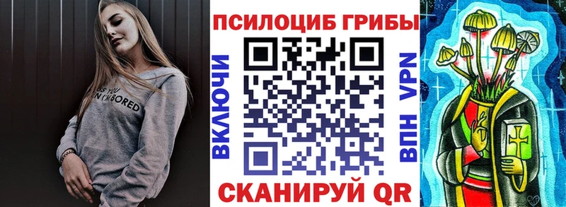 Псилоцибиновые грибы Psilocybe  OMG   Псков  что такое  